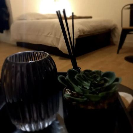 Le 29 Cuty, Wifi, A 3Min De La Gare Sncf Apartman Agen Kültér fotó