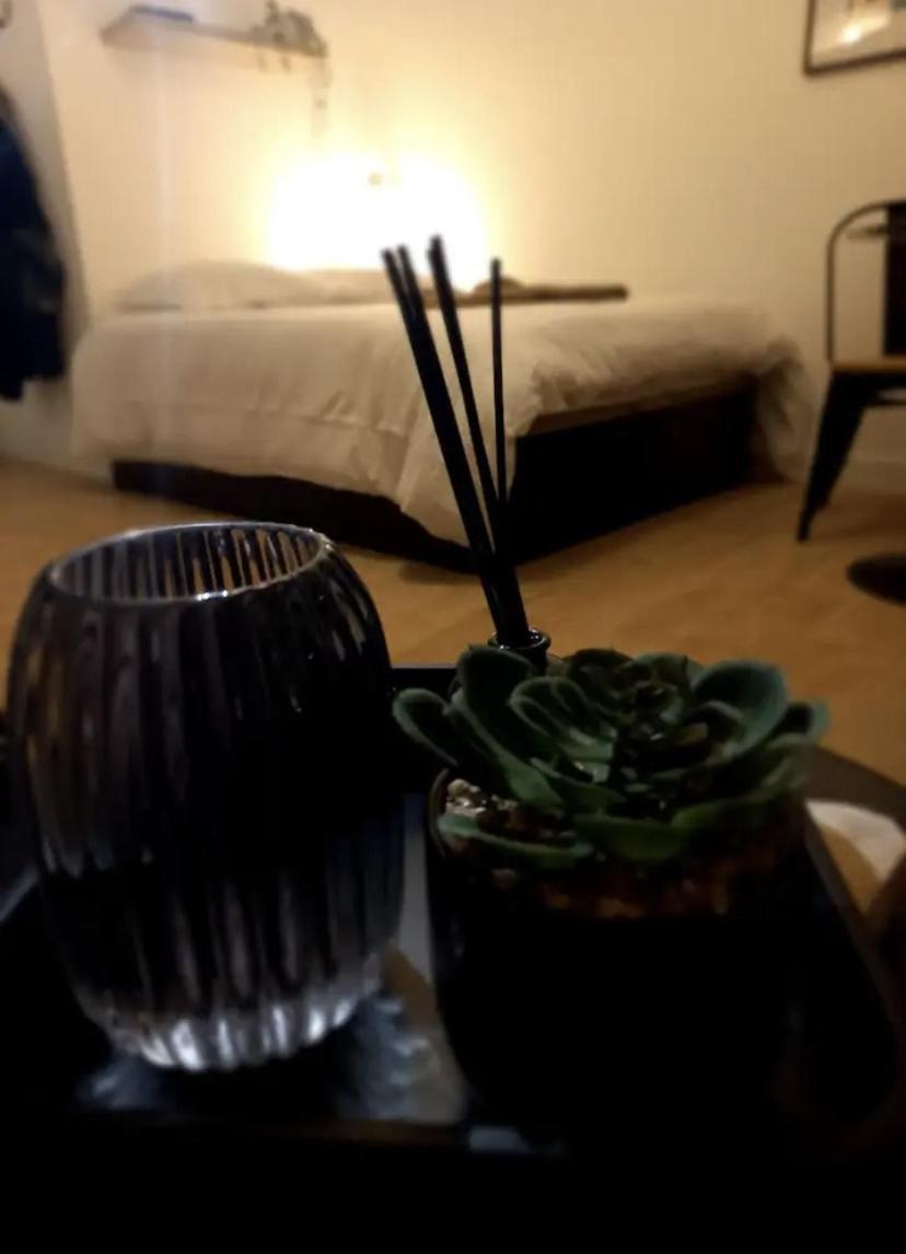 Le 29 Cuty, Wifi, A 3Min De La Gare Sncf Apartman Agen Kültér fotó