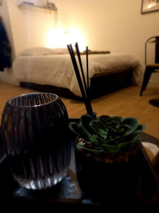 Le 29 Cuty, Wifi, A 3Min De La Gare Sncf Apartman Agen Kültér fotó